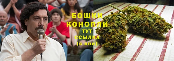 марки lsd Бородино