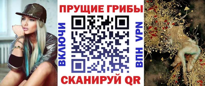 Псилоцибиновые грибы Cubensis магазин продажи Данилов